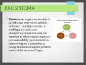 Vandens ekosistemos kūrimas 6 puslapis