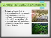 Vandens ekosistemos kūrimas 8 puslapis