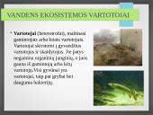 Vandens ekosistemos kūrimas 9 puslapis