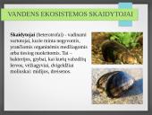 Vandens ekosistemos kūrimas 10 puslapis