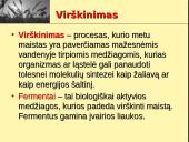 Fermentai ir virškinimas  2 puslapis