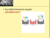 Fermentai ir virškinimas  13 puslapis