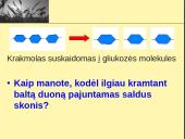 Fermentai ir virškinimas  14 puslapis