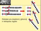 Fermentai ir virškinimas  16 puslapis
