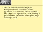 Fermentai ir virškinimas  4 puslapis