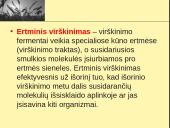 Fermentai ir virškinimas  6 puslapis