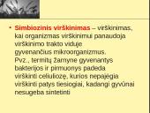 Fermentai ir virškinimas  7 puslapis