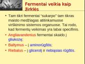 Fermentai ir virškinimas  9 puslapis