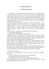 Teisinė aplinkosauga 3 puslapis