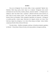 Teisingumo problema 2 puslapis