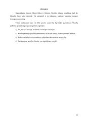 Teisingumo problema 11 puslapis