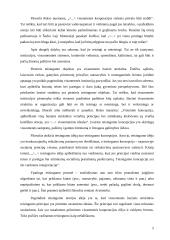 Teisingumo problema 4 puslapis