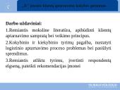 Bagiamojo darbo prezetacija 3 puslapis