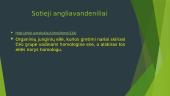 Anglies junginių chemija. Sotieji angliavandeniliai 11 puslapis