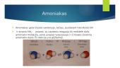 Amoniakas. Amoniako bazinės savybės 9 puslapis