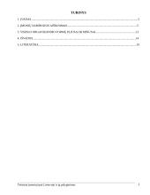 Teisiniai įmonių tipai Lietuvoje ir jų palyginimas 2 puslapis