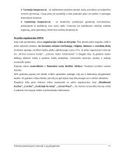 Teisiniai įmonių tipai Lietuvoje ir jų palyginimas 11 puslapis