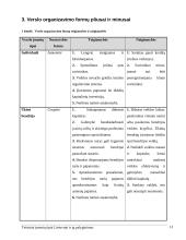 Teisiniai įmonių tipai Lietuvoje ir jų palyginimas 13 puslapis