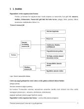 Teisiniai įmonių tipai Lietuvoje ir jų palyginimas 3 puslapis