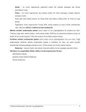 Teisiniai įmonių tipai Lietuvoje ir jų palyginimas 4 puslapis