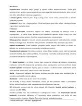 Teisiniai įmonių tipai Lietuvoje ir jų palyginimas 7 puslapis