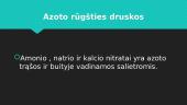 Azoto rūgštis. Nitratai 11 puslapis