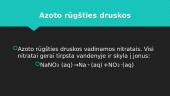 Azoto rūgštis. Nitratai 10 puslapis
