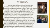 Dėl mūsų likimo ir žvaigždės kaltos. John Green 4 puslapis