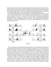 Telefonų linijos. Automatinės telefonų stotys 3 puslapis