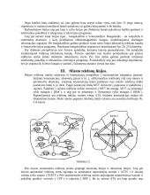Telefonų linijos. Automatinės telefonų stotys 5 puslapis