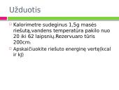 Mityba ir virškinimas. Maistas - energijos šaltinis 11 puslapis