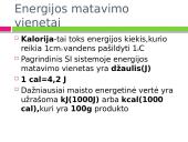 Mityba ir virškinimas. Maistas - energijos šaltinis 13 puslapis