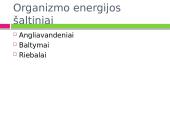 Mityba ir virškinimas. Maistas - energijos šaltinis 14 puslapis