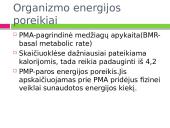Mityba ir virškinimas. Maistas - energijos šaltinis 15 puslapis