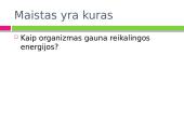 Mityba ir virškinimas. Maistas - energijos šaltinis 3 puslapis