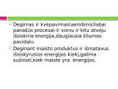 Mityba ir virškinimas. Maistas - energijos šaltinis 5 puslapis