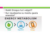 Mityba ir virškinimas. Maistas - energijos šaltinis 6 puslapis