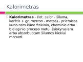 Mityba ir virškinimas. Maistas - energijos šaltinis 8 puslapis