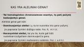 Monohibridinis kryžminimas ir lyties nustatymas 2 puslapis