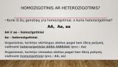 Monohibridinis kryžminimas ir lyties nustatymas 3 puslapis