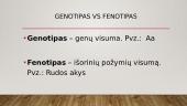 Monohibridinis kryžminimas ir lyties nustatymas 4 puslapis