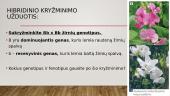 Monohibridinis kryžminimas ir lyties nustatymas 9 puslapis