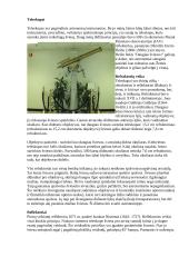 Teleskopas, mikroskopas ir lupa 4 puslapis