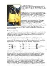 Teleskopas, mikroskopas ir lupa 5 puslapis