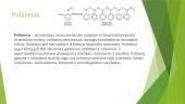 Polimerai ir plastikai 2 puslapis