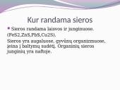 Plačiai apie sierą 5 puslapis