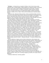 Terminijos klaidos ir jų šaltiniai 2 puslapis