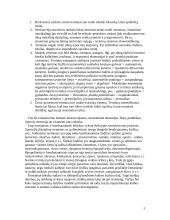 Terminijos klaidos ir jų šaltiniai 3 puslapis