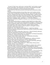 Terminijos klaidos ir jų šaltiniai 4 puslapis