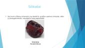 Silicio rūgštis bei silikatai 9 puslapis
